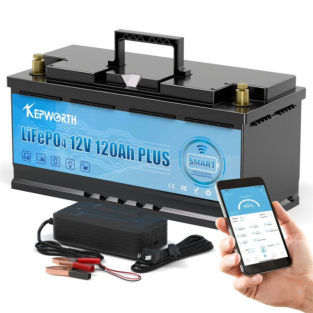 12V 24V 100Ah 120Ah 135Ah 300Ah LiFePO4 Lithium Iron Phosphate Battery With BMS  For Golf Cart EV RV Solar Energy Trolling Motor