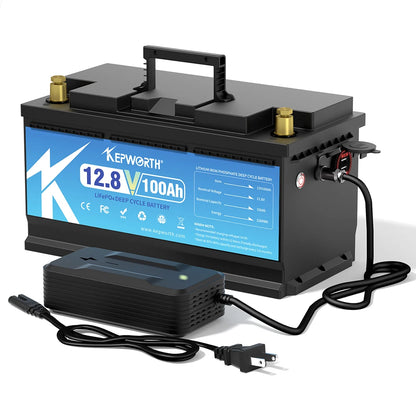 12V 24V 100Ah 120Ah 135Ah 300Ah LiFePO4 Lithium Iron Phosphate Battery With BMS  For Golf Cart EV RV Solar Energy Trolling Motor