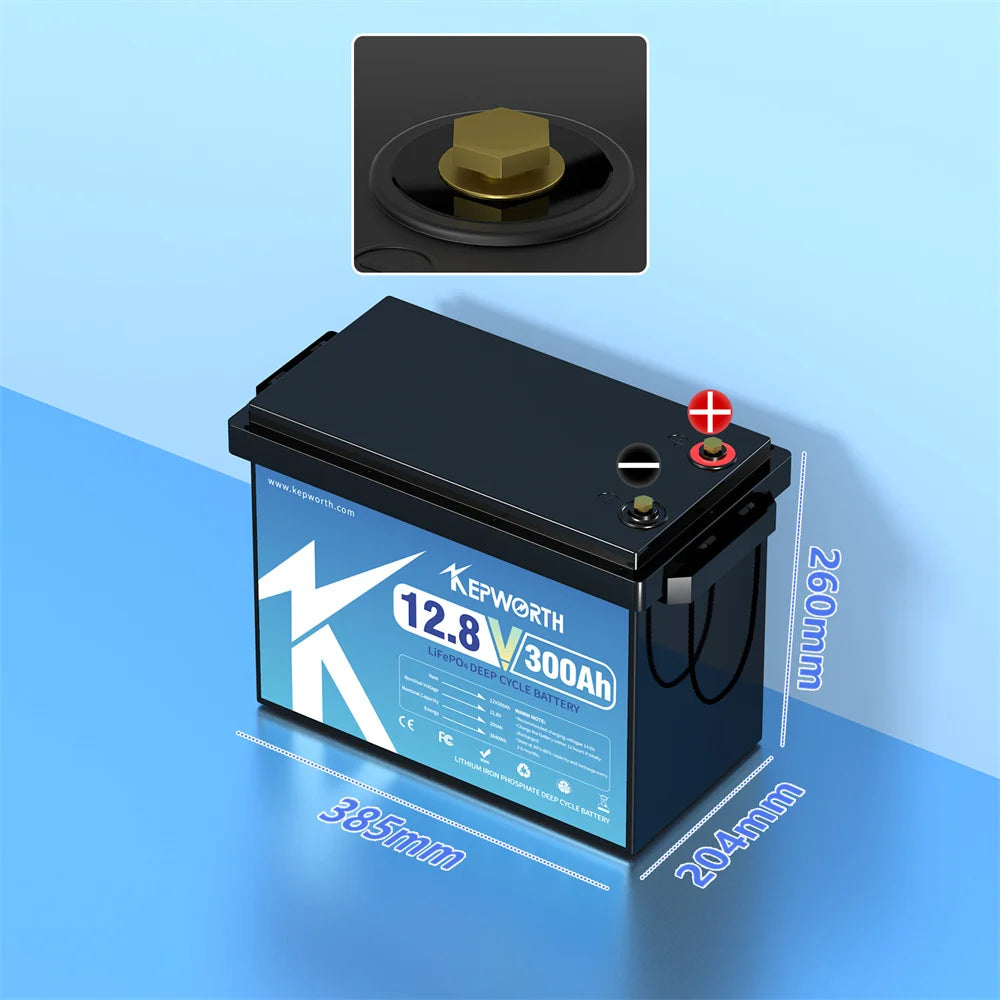 12V 24V 100Ah 120Ah 135Ah 300Ah LiFePO4 Lithium Iron Phosphate Battery With BMS  For Golf Cart EV RV Solar Energy Trolling Motor