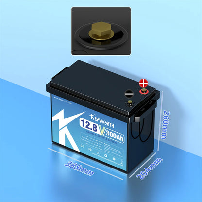 12V 24V 100Ah 120Ah 135Ah 300Ah LiFePO4 Lithium Iron Phosphate Battery With BMS  For Golf Cart EV RV Solar Energy Trolling Motor