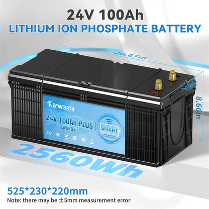12V 24V 100Ah 120Ah 135Ah 300Ah LiFePO4 Lithium Iron Phosphate Battery With BMS  For Golf Cart EV RV Solar Energy Trolling Motor